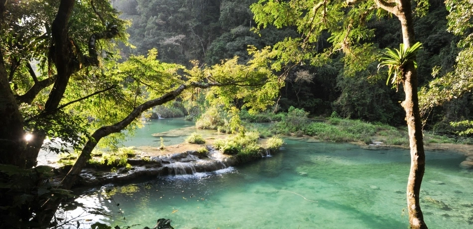 Semuc-Half2
